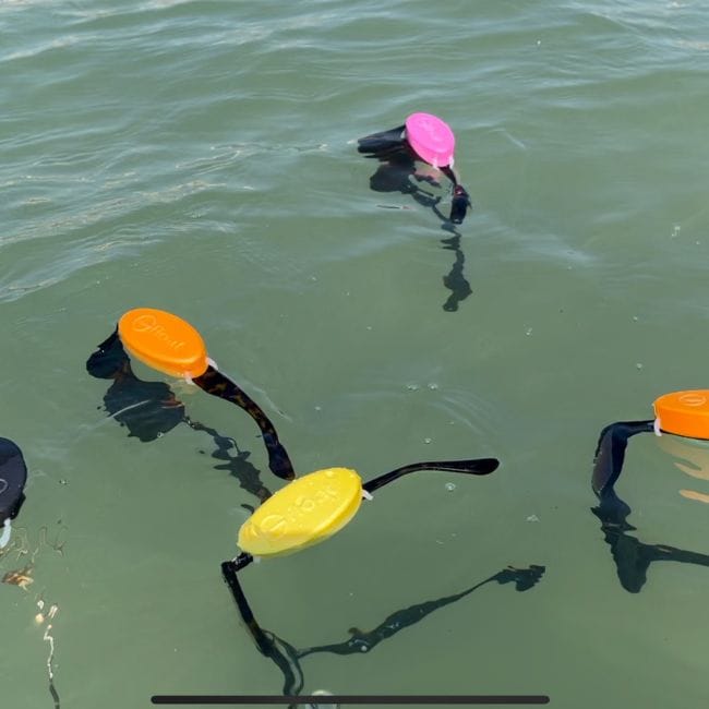 Sup Accessories Glasses Float